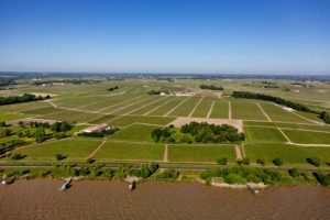 Weine aus Bordeaux, Montrose