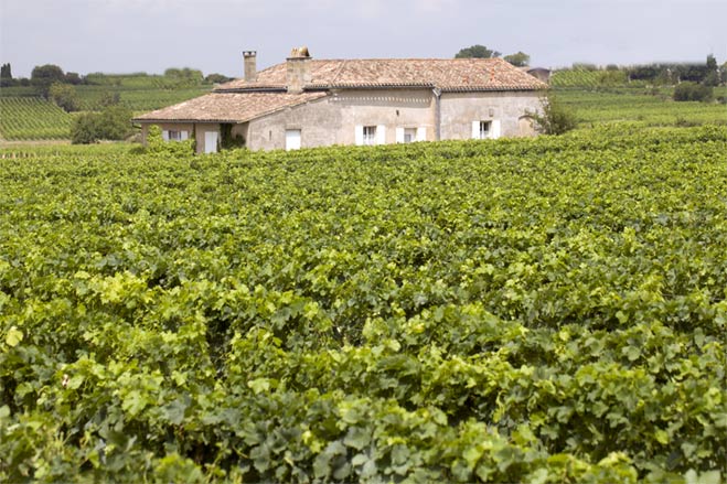 Weinbaugebiete in der Region Norditalien