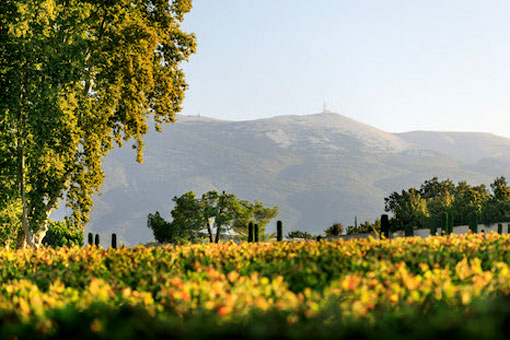Weinbaugebiete in der Region Rhone