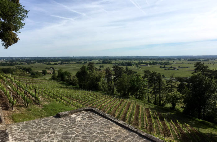 Weinbaugebiete in der Region Rheinland-Pfalz