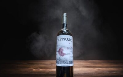 Tempranillo pur: Warum der El Vínculo 2019 begeistert