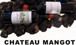 2019 Emilion - CB-Weinhandel Mangot Grand Chateau Cru Saint