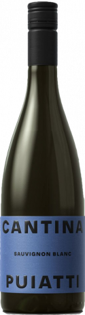 Cantina Puiatti Sauvignon Blanc DOC Friuli 2023 je Flasche 10.95€