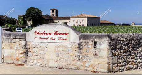 Weinberg Chateau Canon 2023 Saint Emilion