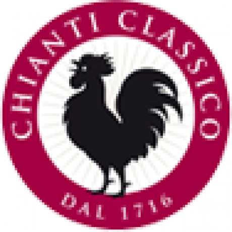 Clemente VII Chianti Classico DOCG 2020 Castelli del Grevepesa